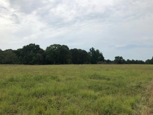 LOT 76 GREENHAVEN DRIVE, OXFORD, MS 38655, photo 4 of 13