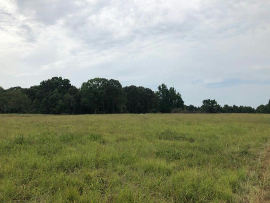 LOT 92 GREENHAVEN DRIVE, OXFORD, MS 38655, photo 5 of 13