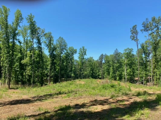 40 COUNTY ROAD 415, OXFORD, MS 38655, photo 2 of 20