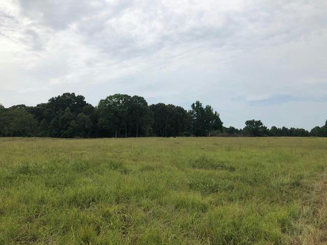 LOT 84 GREENHAVEN DRIVE, OXFORD, MS 38655, photo 1 of 13