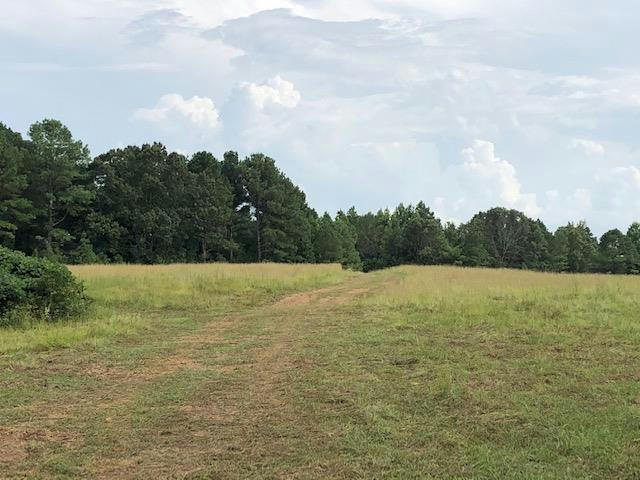 LOT 76 GREENHAVEN DRIVE, OXFORD, MS 38655, photo 1 of 13