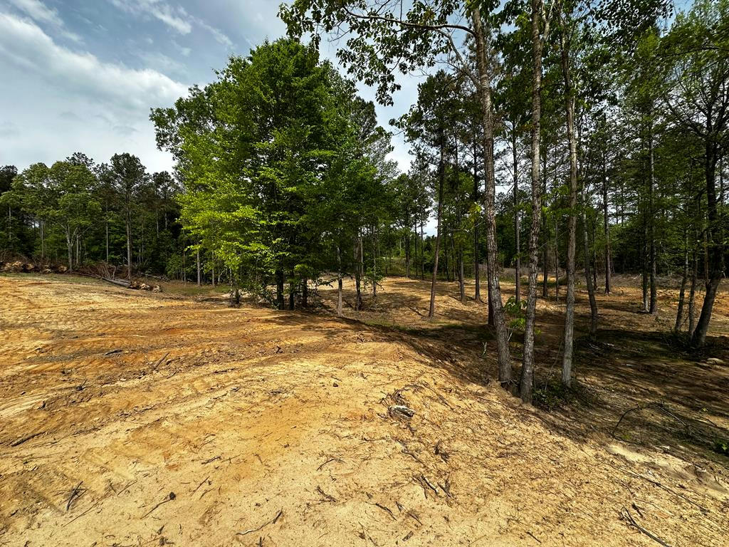 TBD CR 430, OXFORD, MS 38655, photo 1 of 10