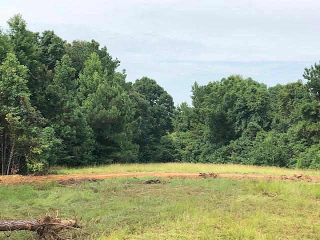 LOT 75 GREENHAVEN DRIVE, OXFORD, MS 38655, photo 1 of 13