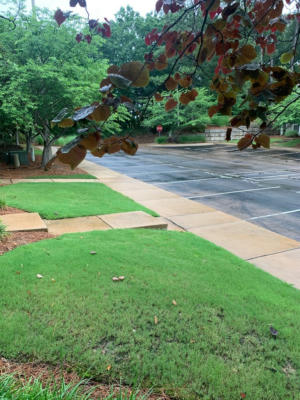 2206 ANDERSON RD APT 201, OXFORD, MS 38655, photo 3 of 22